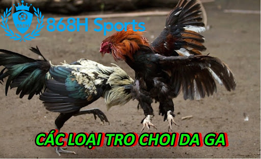 Các loại tro choi da ga