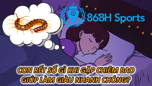 Con Rết Số Gì Khi Gặp Chiêm Bao Giúp Làm Giàu Nhanh Chóng?