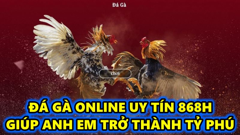 Đá gà online uy tín 868h giúp anh em trở thành tỷ phú