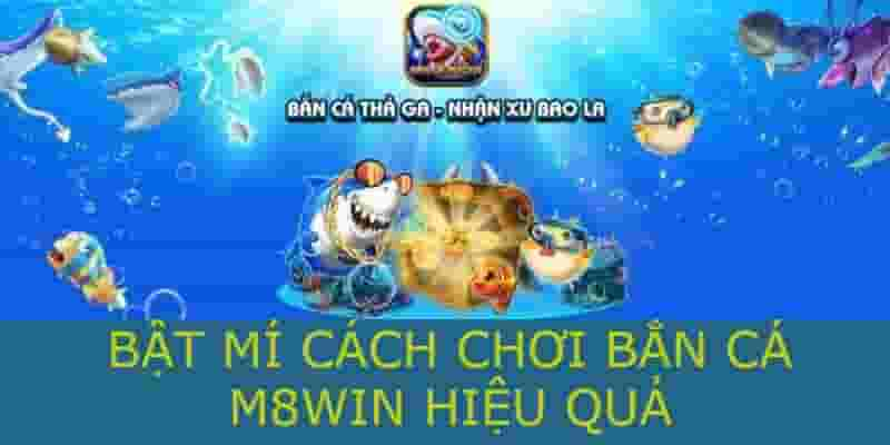 Bắn cá m8win và cách chơi hiệu quả nhất dành cho săn cá thủ