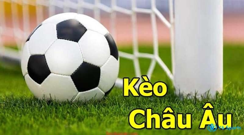 Kèo châu âu 1x2 là gì? Cách chơi kèo châu âu nhanh nhất