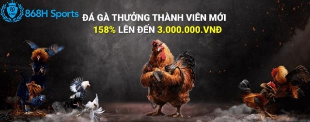 Da ga truc tiep thomo tại 868H – Trò chơi hấp dẫn hàng đầu