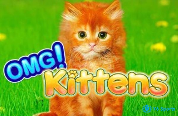 OMG Kittens" là một trò chơi máy đánh bạc trực tuyến