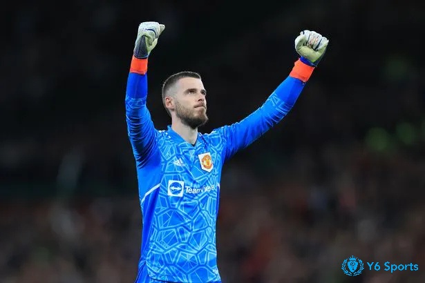 David de Gea là thủ môn hàng đầu thế giới và góp mặt trong đội hình xuất sắc nhất Manchester United