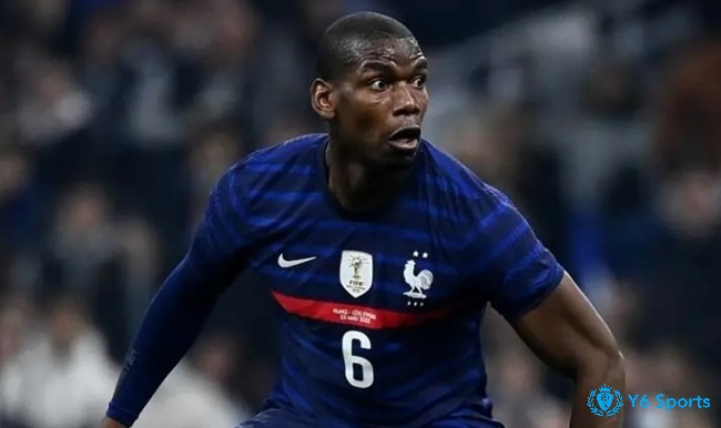 Paul Pogba được vinh danh là cầu thủ xuất sắc nhất Euro 2016/2017