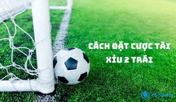 Một chiến thuật hiệu quả là đặt cược Xỉu trong những trận đấu có tỷ lệ cược chấp cao