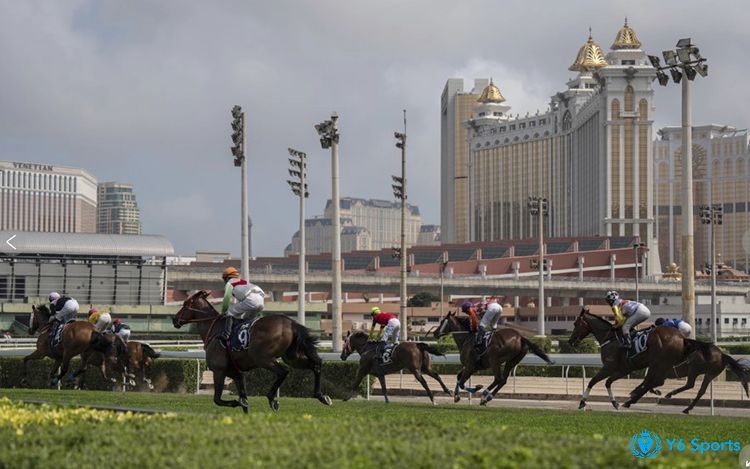 Đua ngựa tại Macau Jockey Club là ình thức cá cược hợp pháp phổ biến