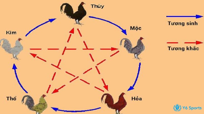 Sơ đồ mệnh tương ứng với màu lông gà